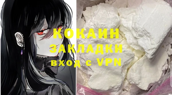крисы Покачи